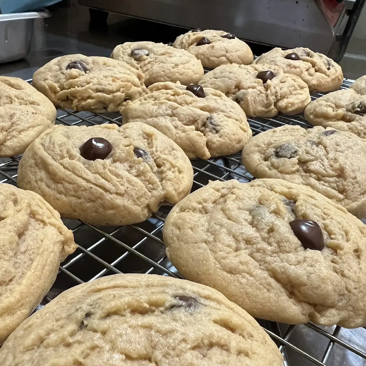 Chocolate Chip Cookie Made from Scratch