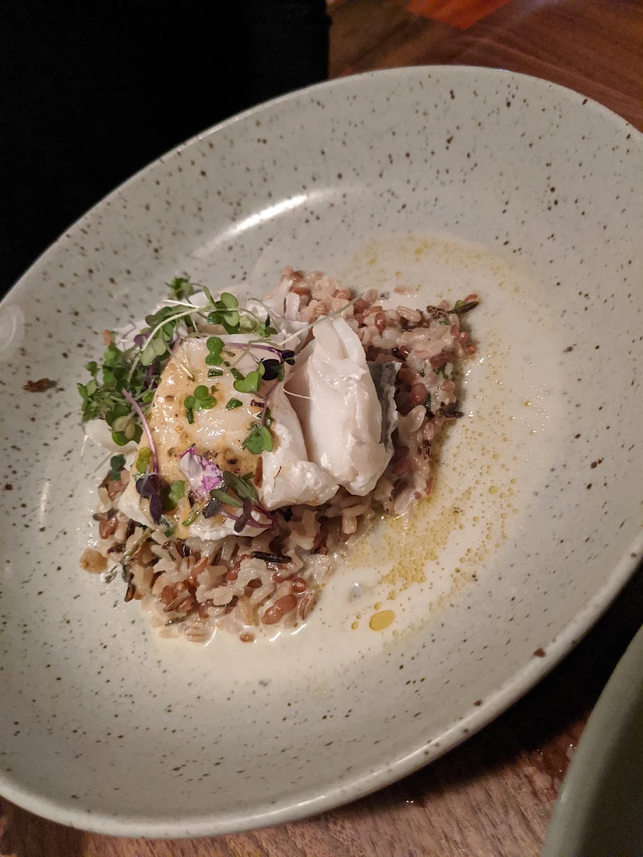 Arctic Char, Le Boating Club