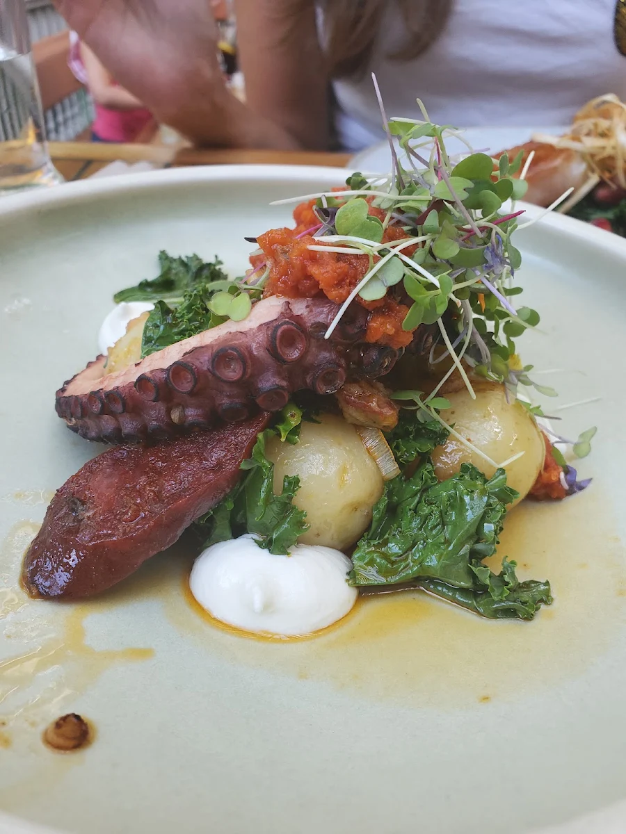 Octopus, Le Boating Club