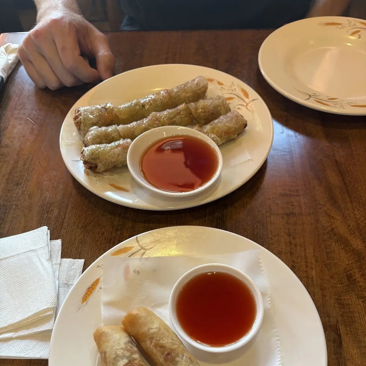 Spring Rolls