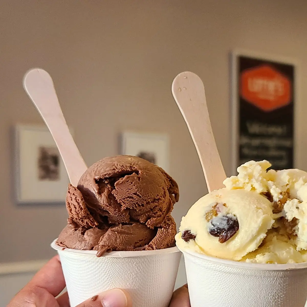 Dark Chocolate and Rum Raisin