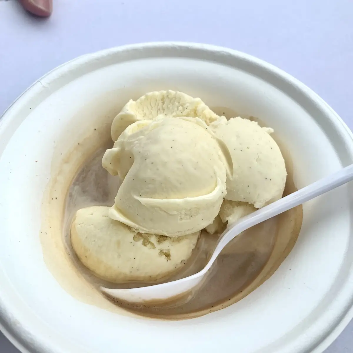 Vanilla Bean Ice Cream