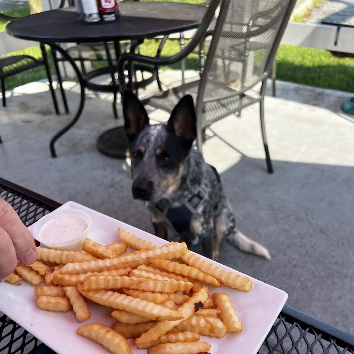 French Fries
