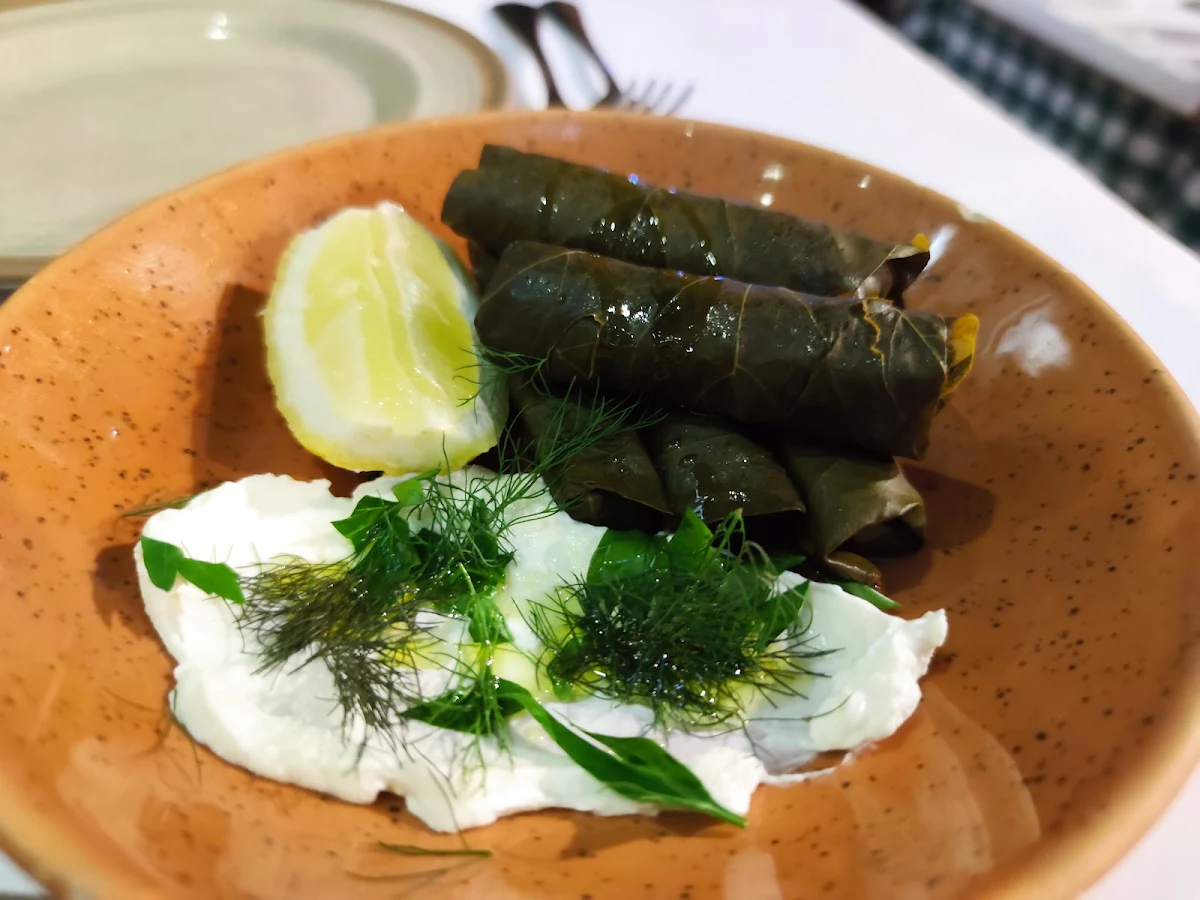 Dolmades Vine Leaves Lamb Mince Rice Fresh Herbs Yoghurt