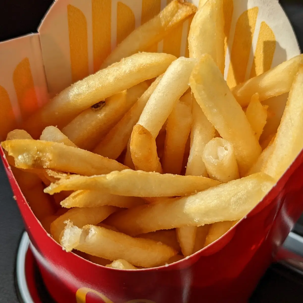 World Famous Fries