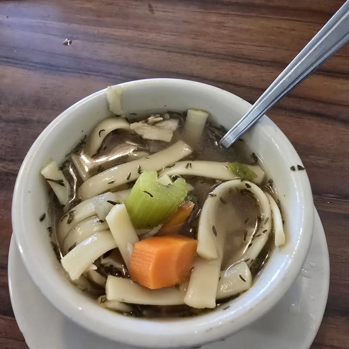 Turkey Noodle Soup