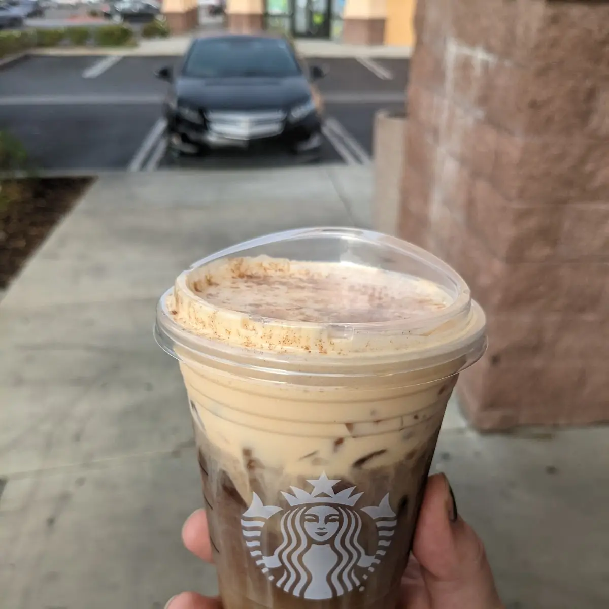 Pumpkin Cream Cold Brew