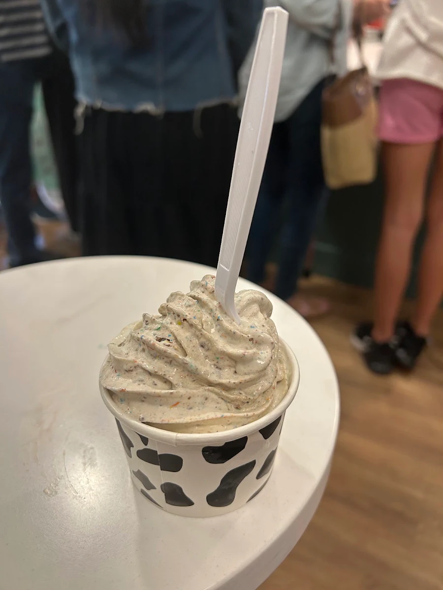 Vanilla Ice Cream
