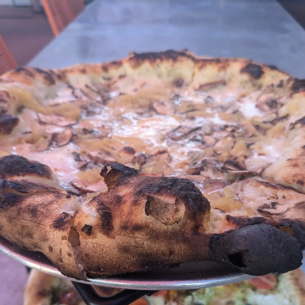 Mushroom Pizza