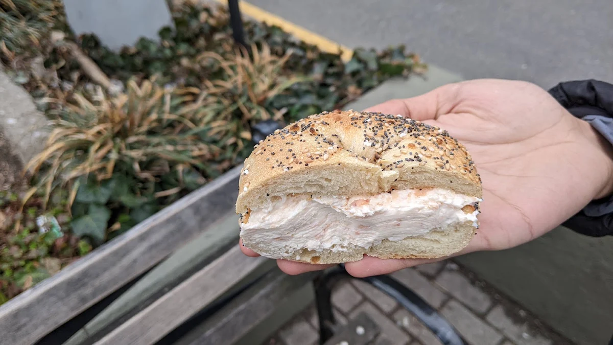 Everything Bagel with Lox Spread
