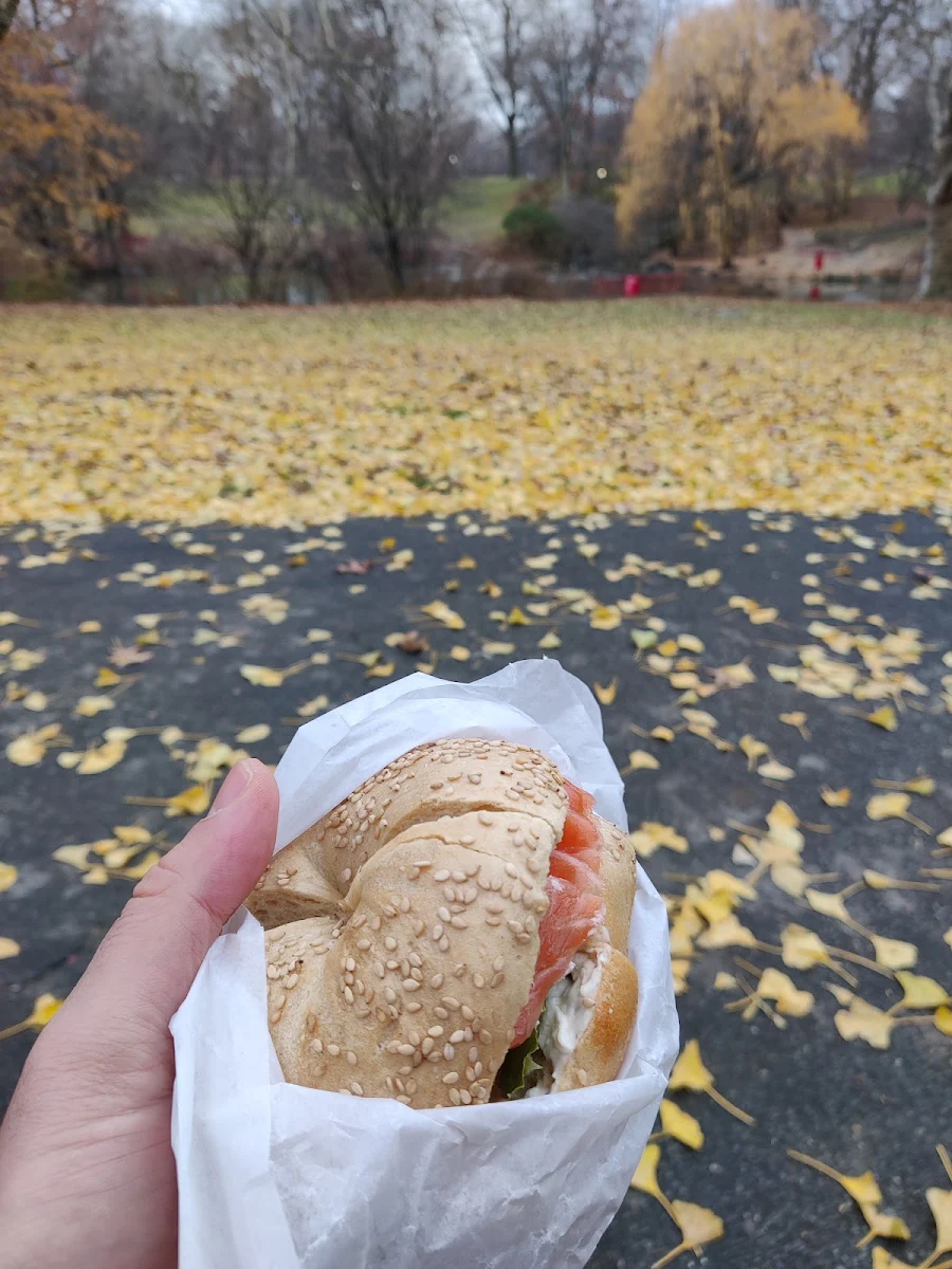 Sesame Bagel with Cream Cheese and Nova