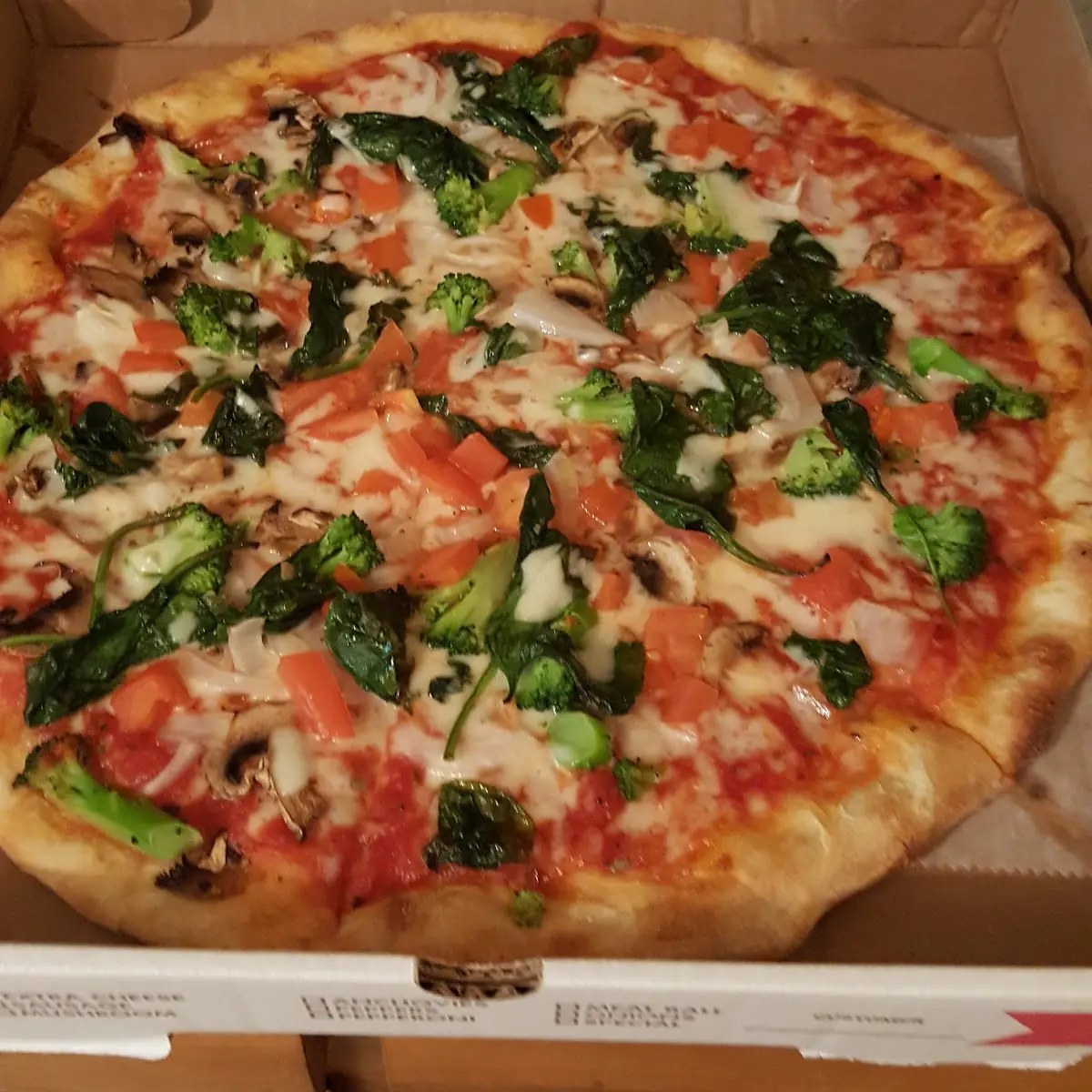 Grilled Veggie Supreme Pizza