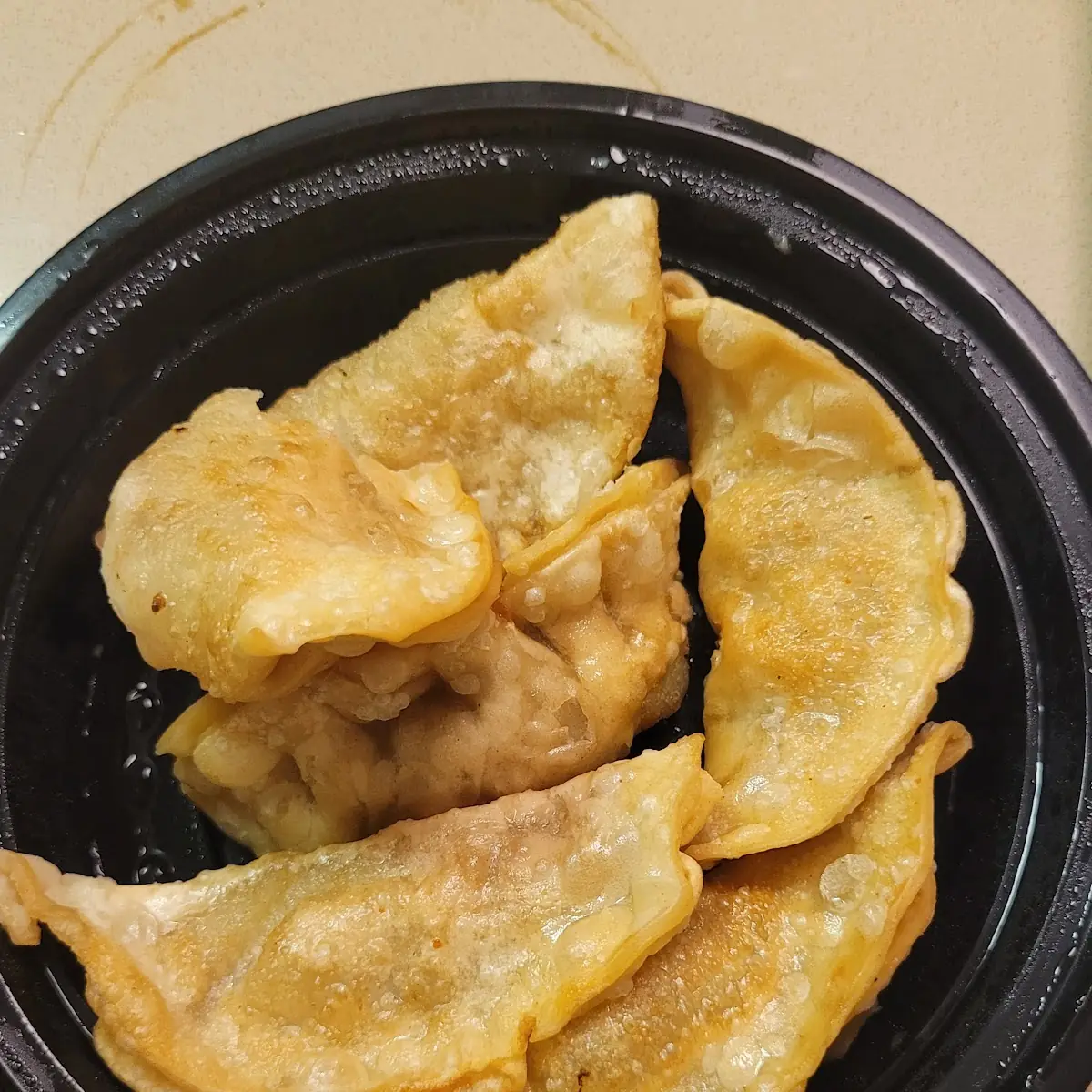 Pan Fried Dumplings