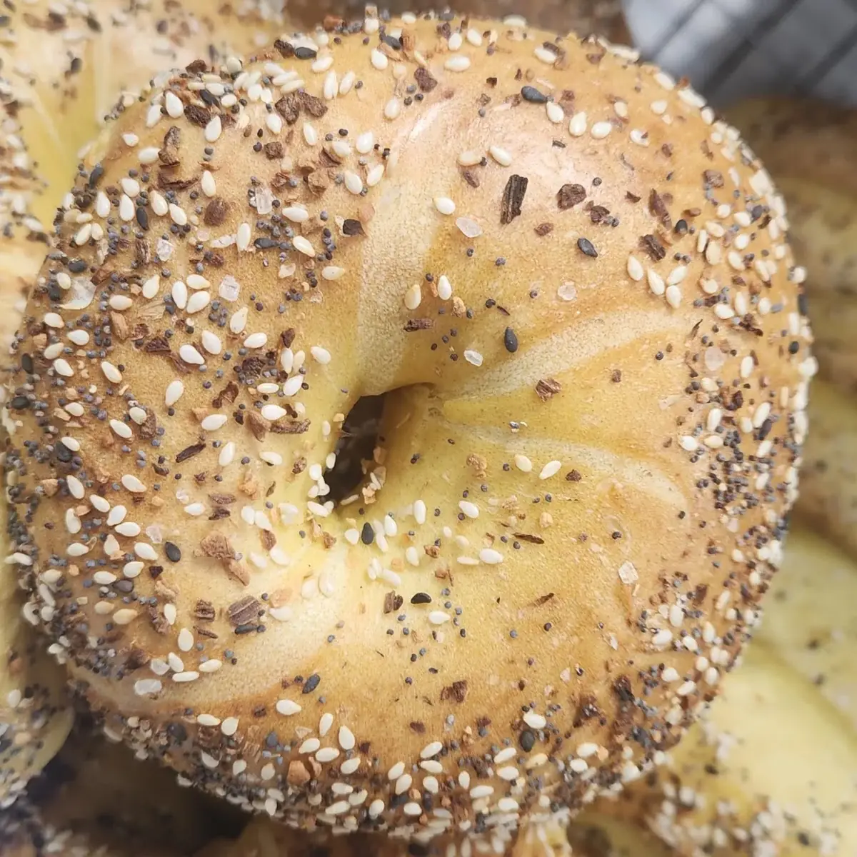 Plain Bagel