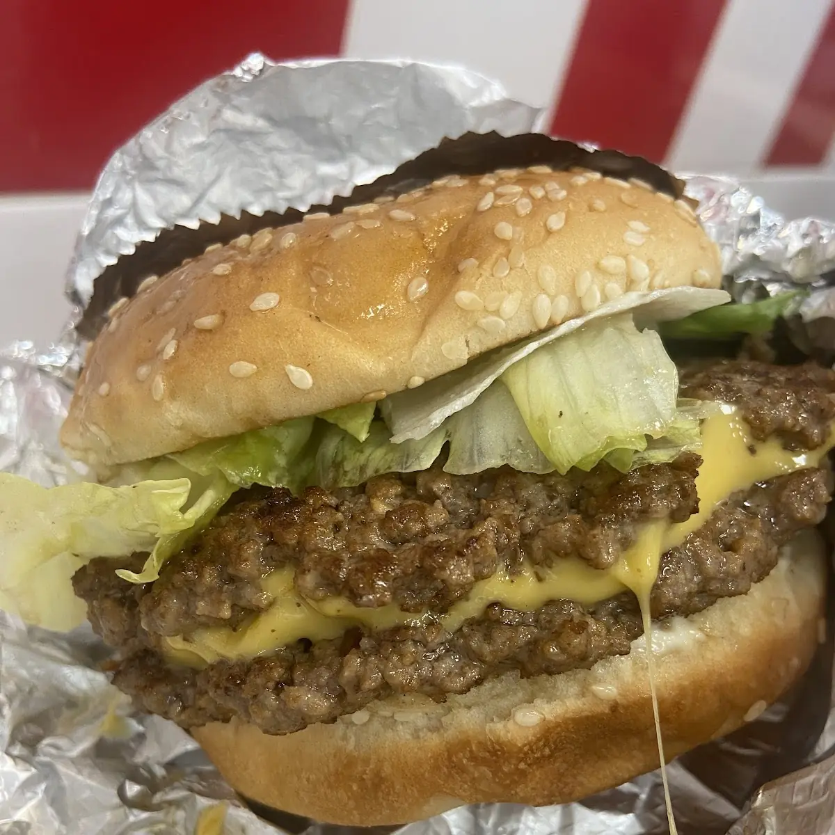 Double Cheeseburger