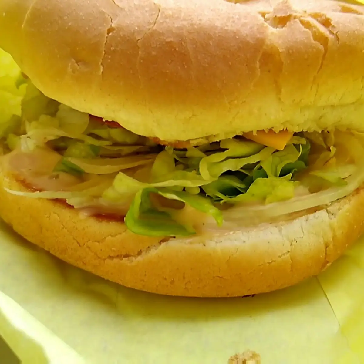 Regular Cheese Burger