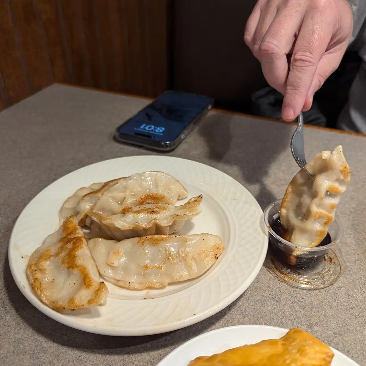 Pan Fried Dumplings Potstickers
