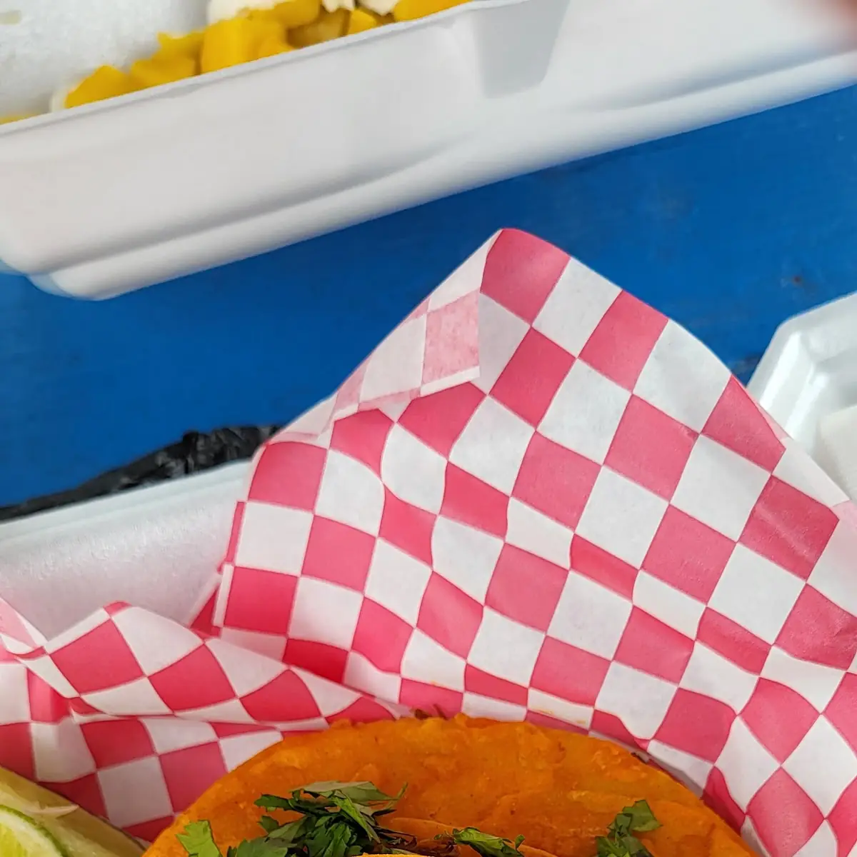 Taco Birria