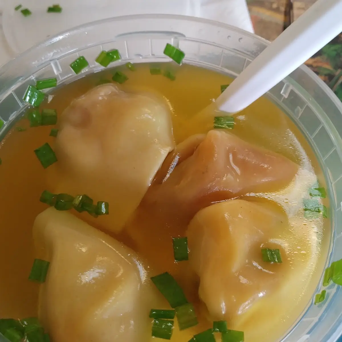 Wonton Soup