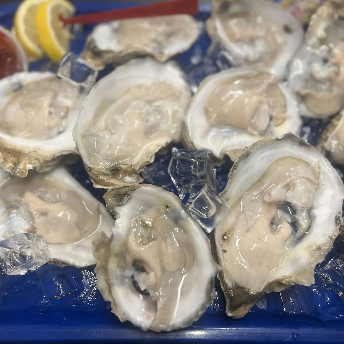Oysters on the Half Shell