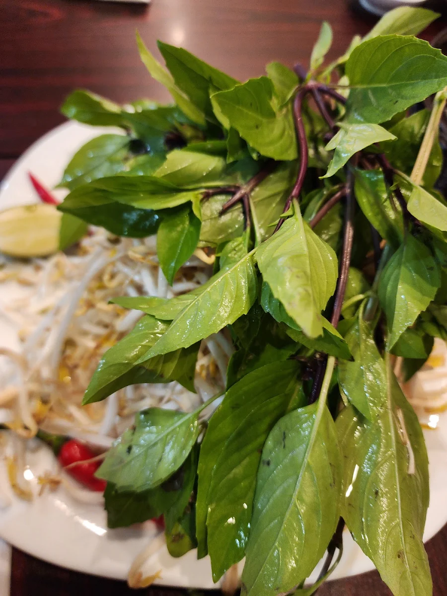 Chicken Pho Pho GA, Pho Windsor