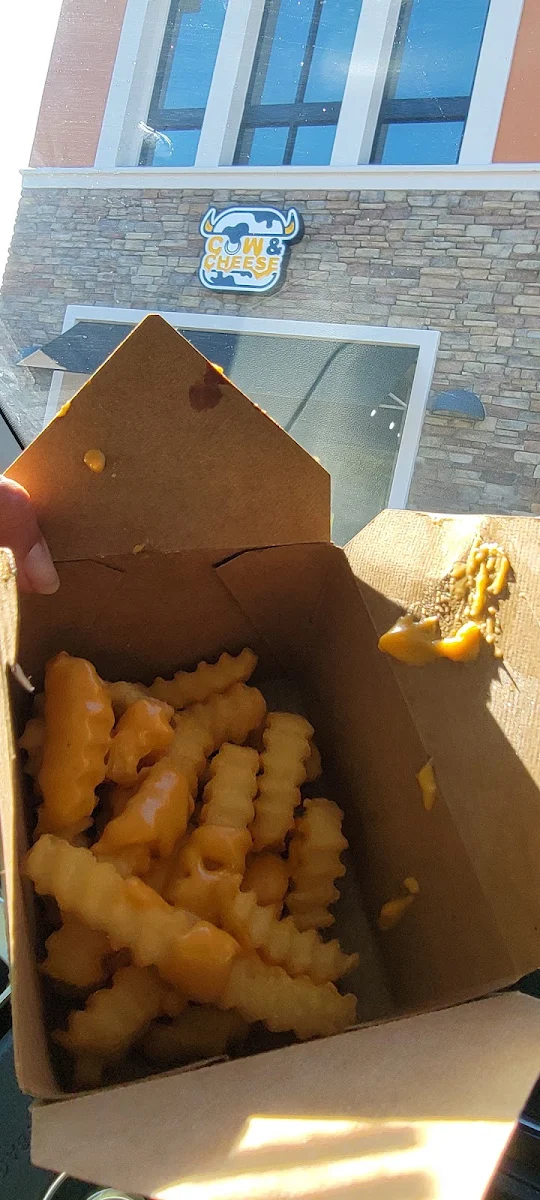 Cheese Fries