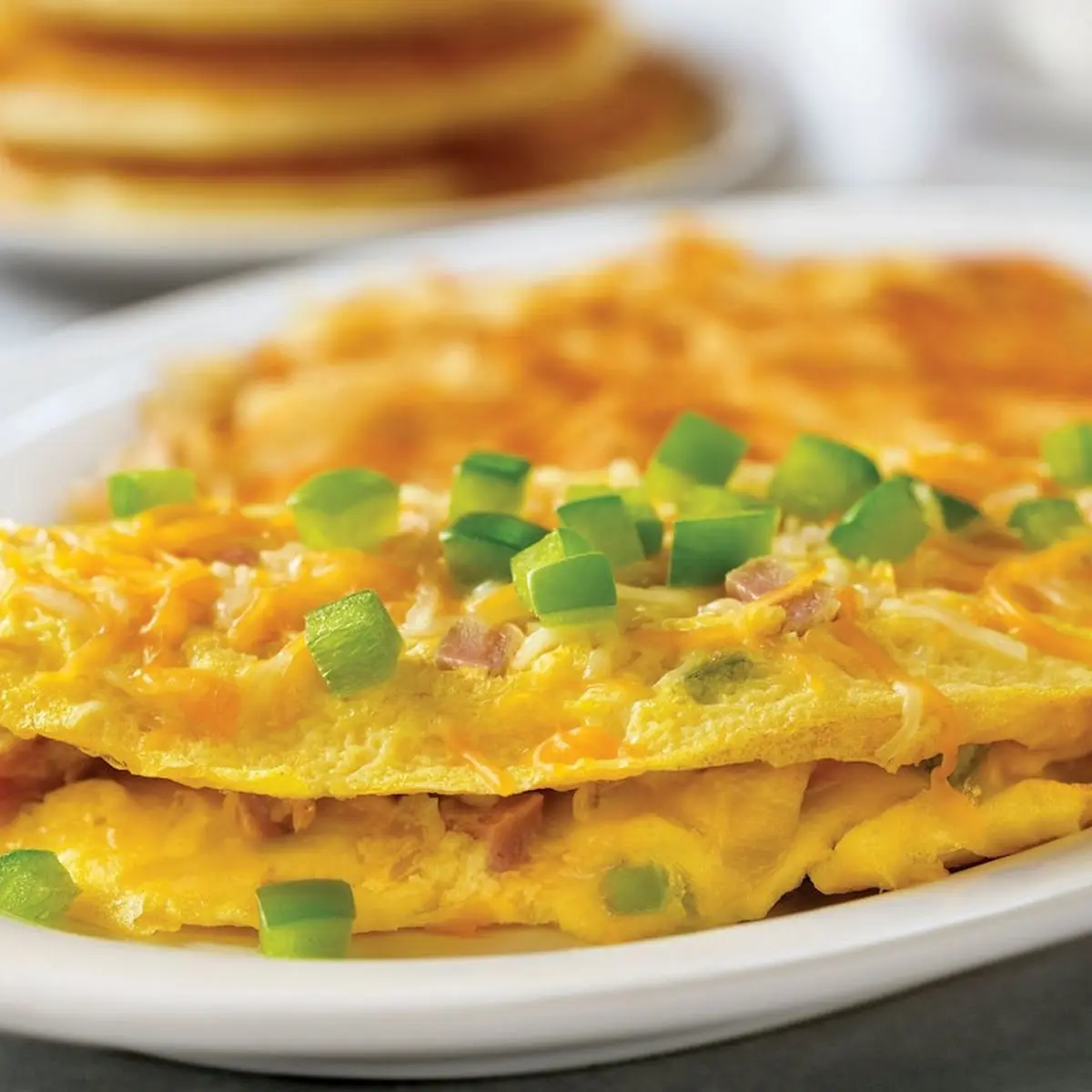 Egg Cheese Omelette