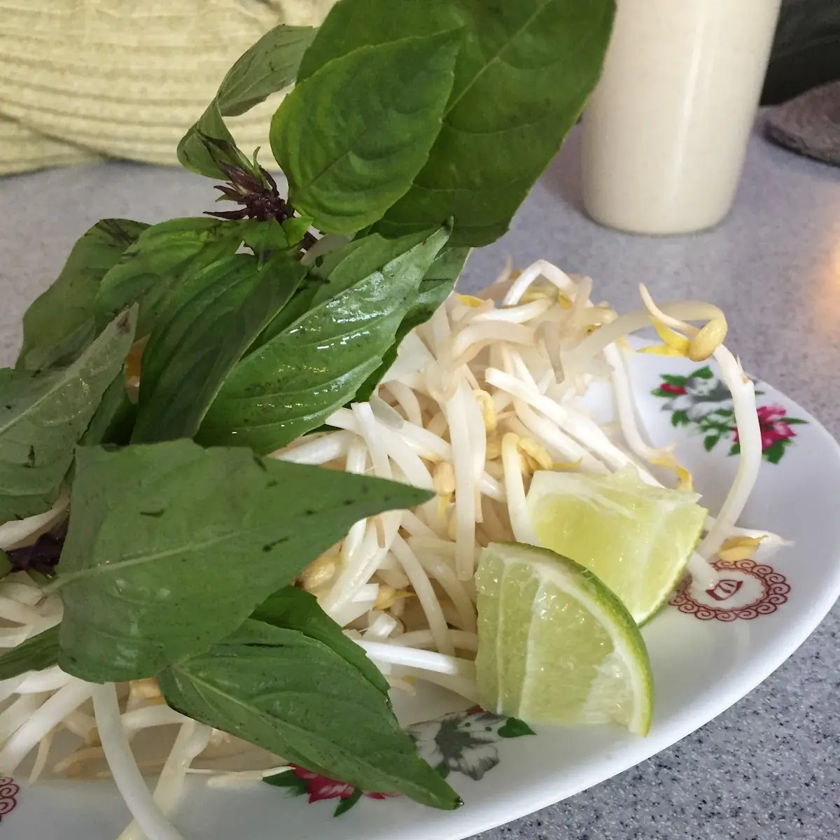 Bean Sprout and Mint, Phở 777 Vietnamese
