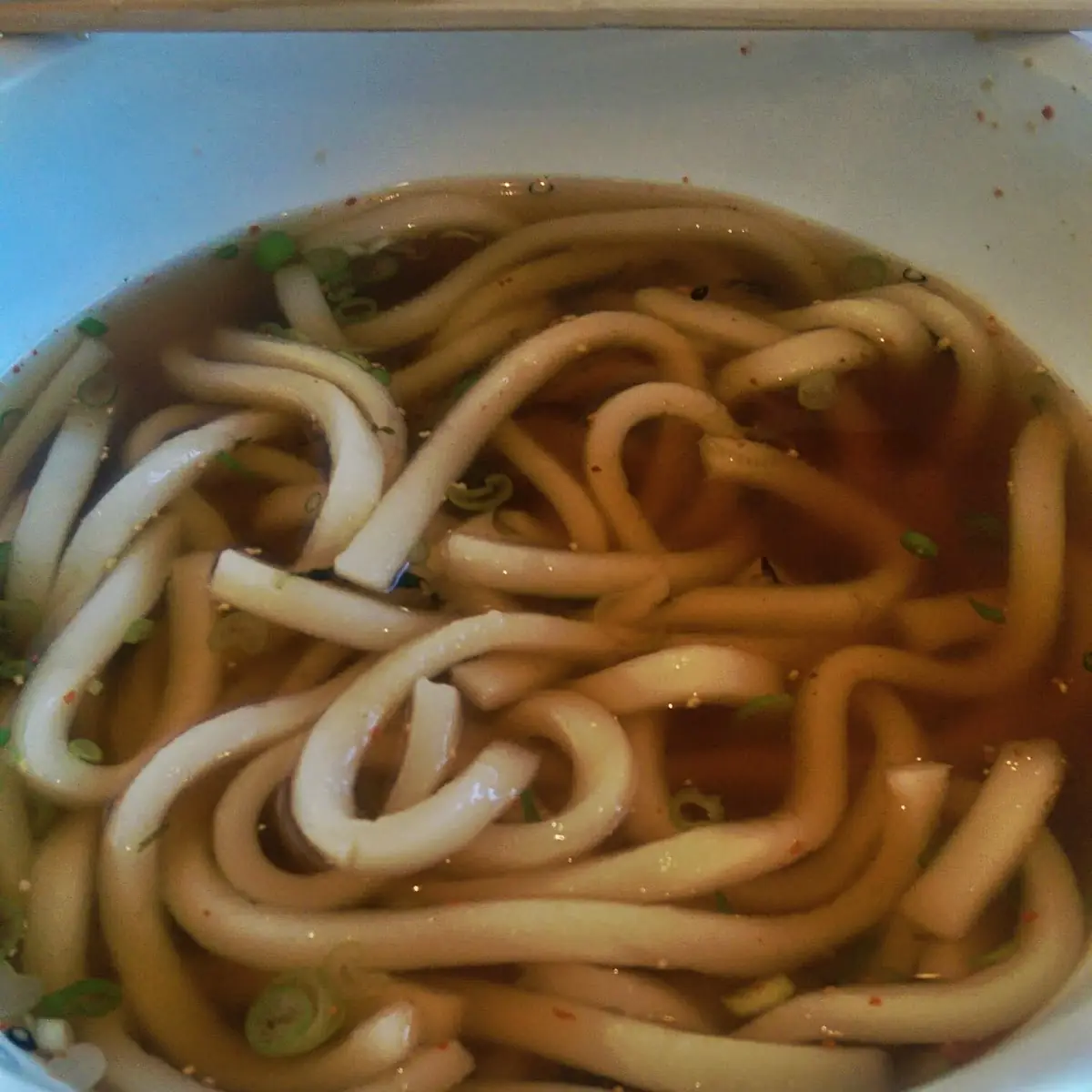 Udon Noodle Soup