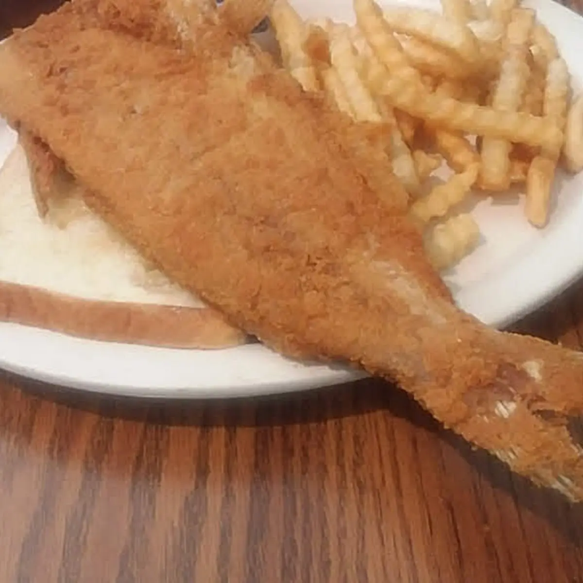 Cat Fish Dinner
