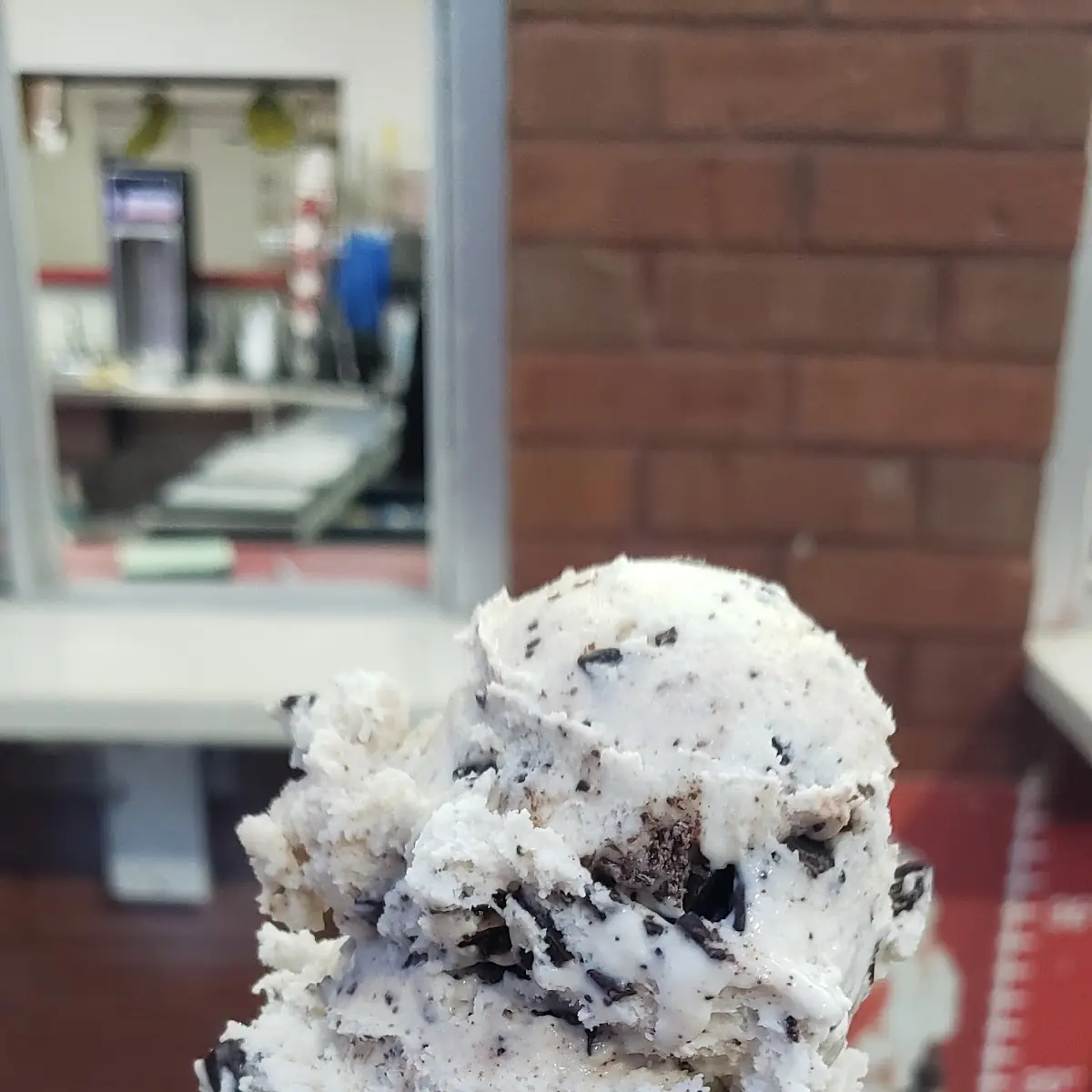 Chocolate Chip Ice Cream