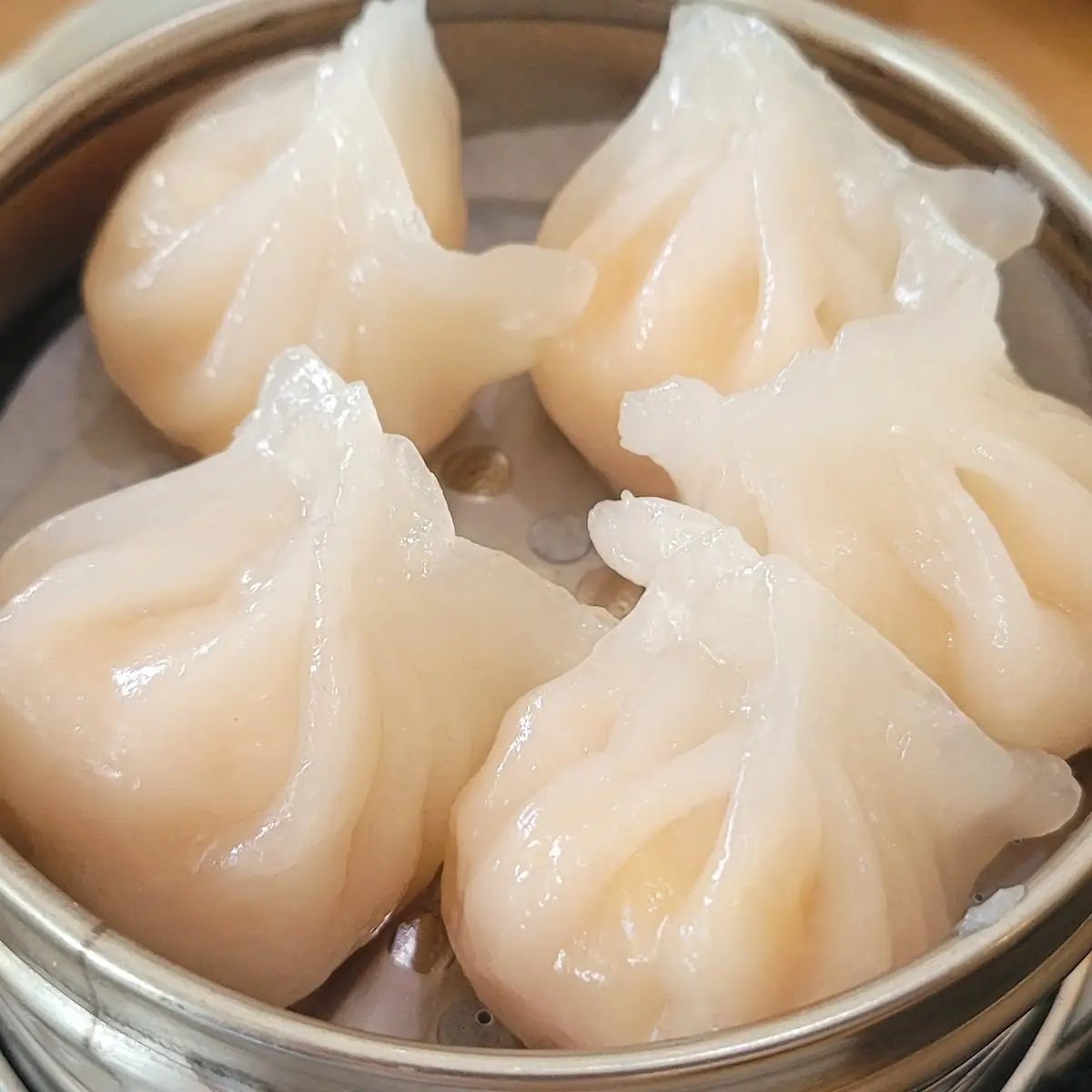 Steamed Dumplings