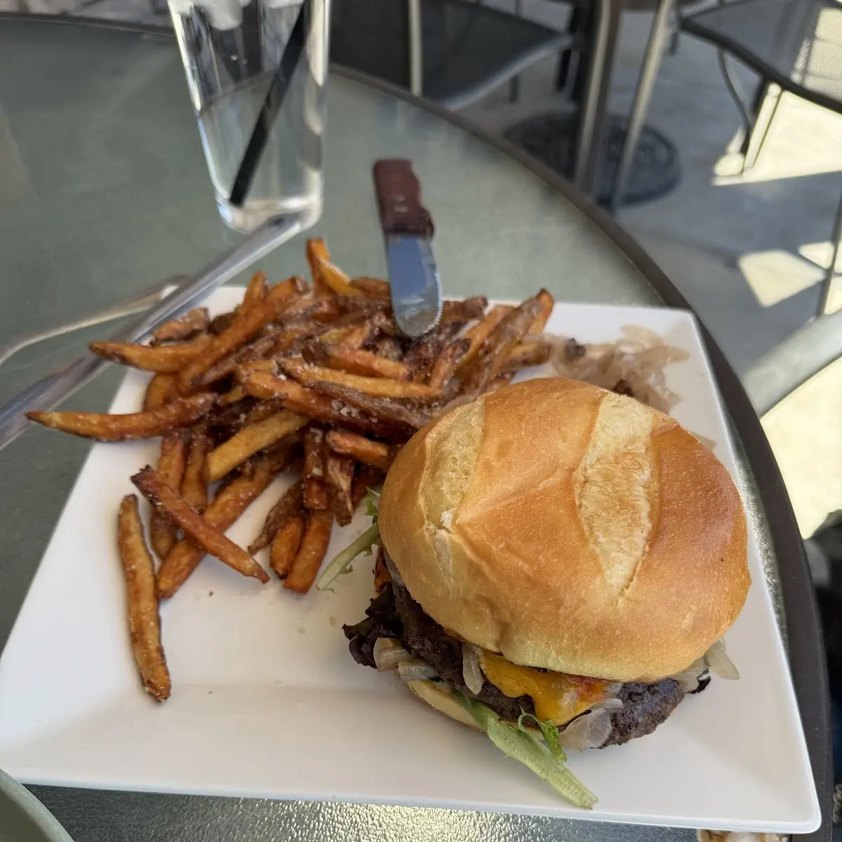 Bison Burger