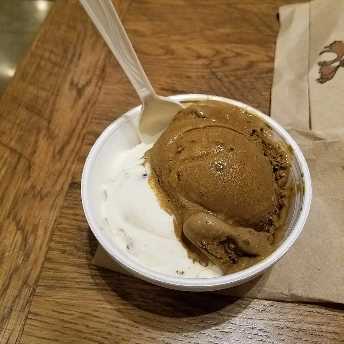 Chocolate and Vanilla Ice Cream