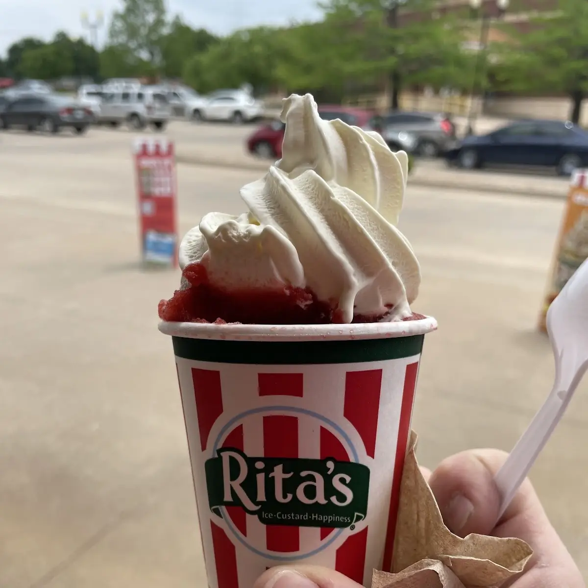 Mint Chocolate Chip Italian Ice