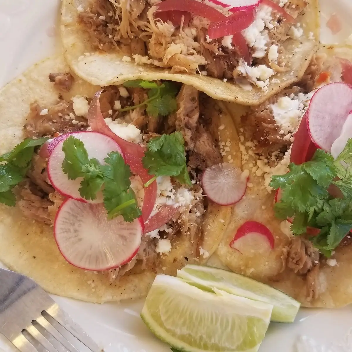 Carnitas Tacos