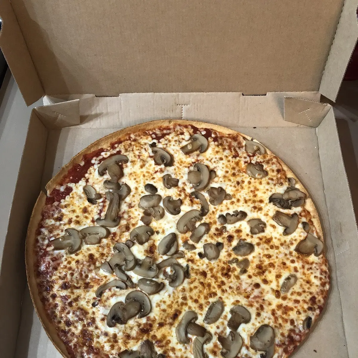 Mushroom Pizza