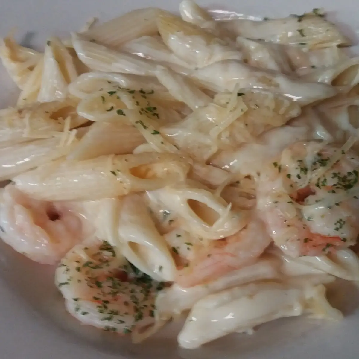 Shrimp Alfredo