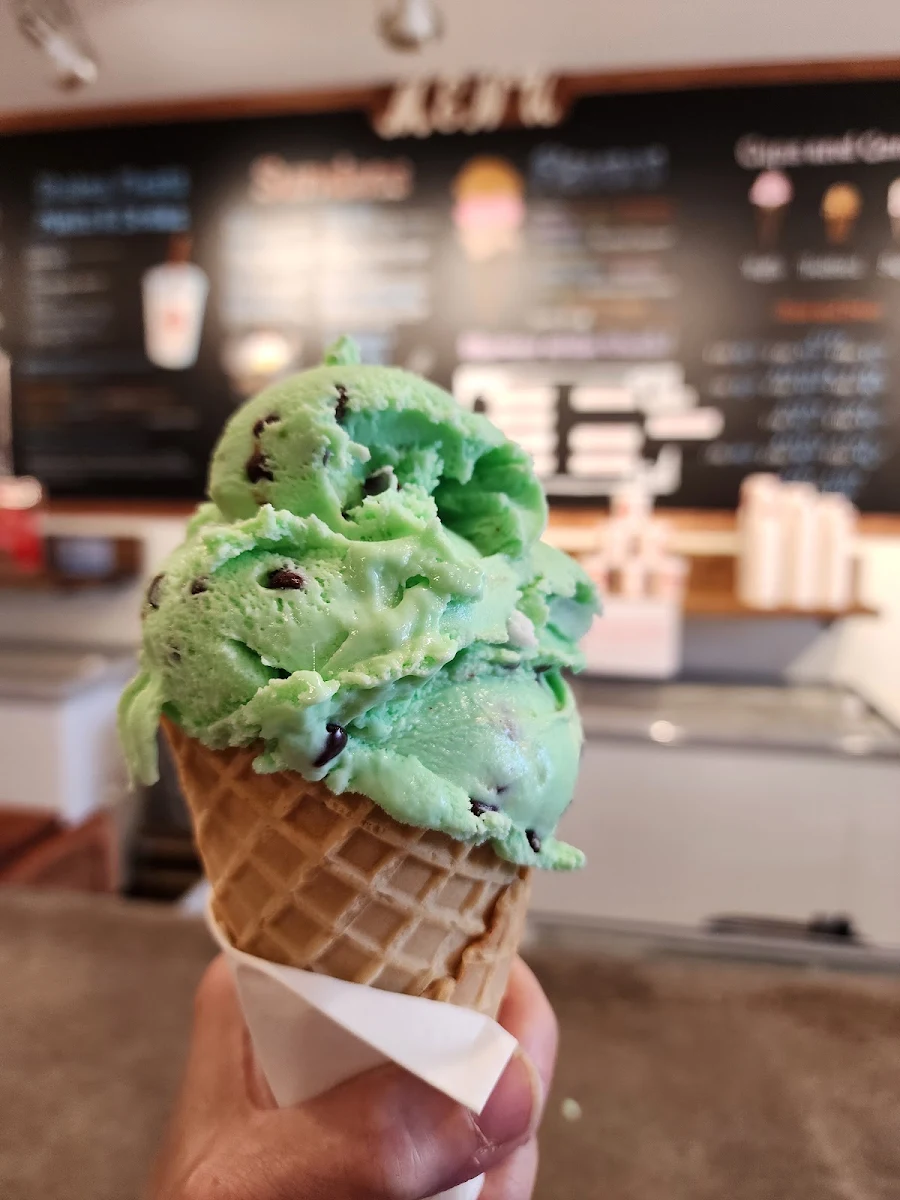 Mint Chocolate Chip Waffle Cone