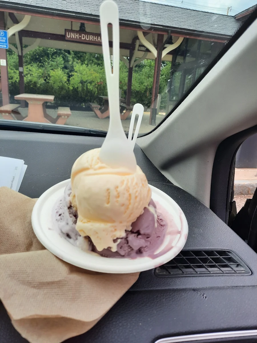 3 Scoop Dish- Vanilla Blackberry and Blueberry