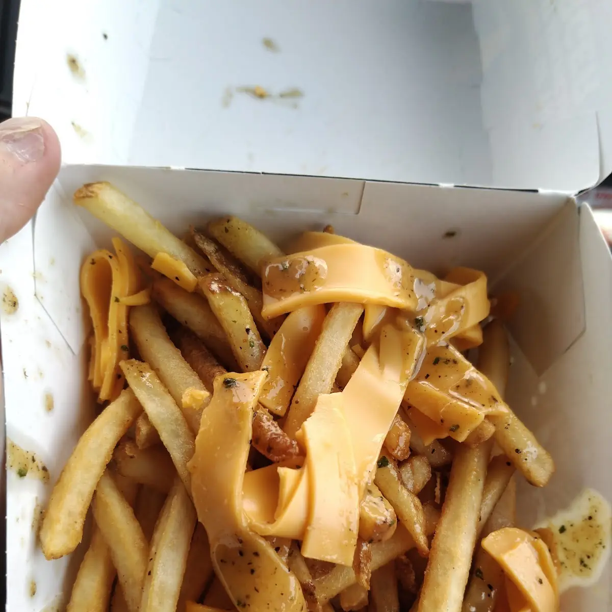 Garlic Cheese Fries