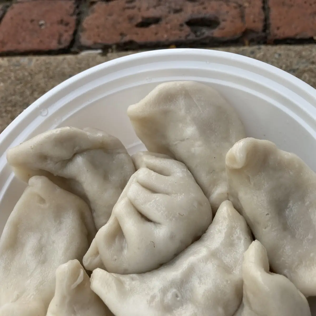 Steamed Dumplings