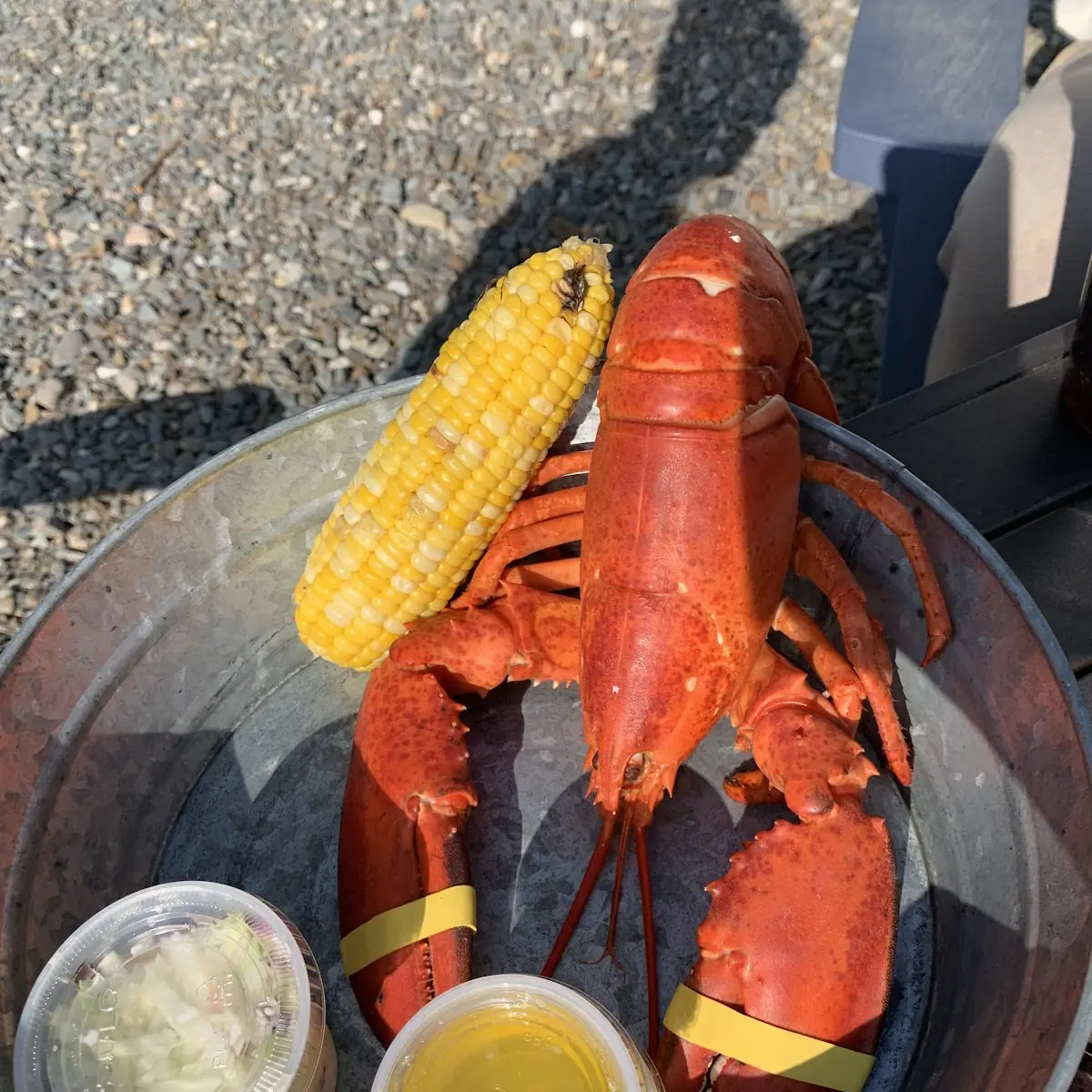 Classic Lobster Roll