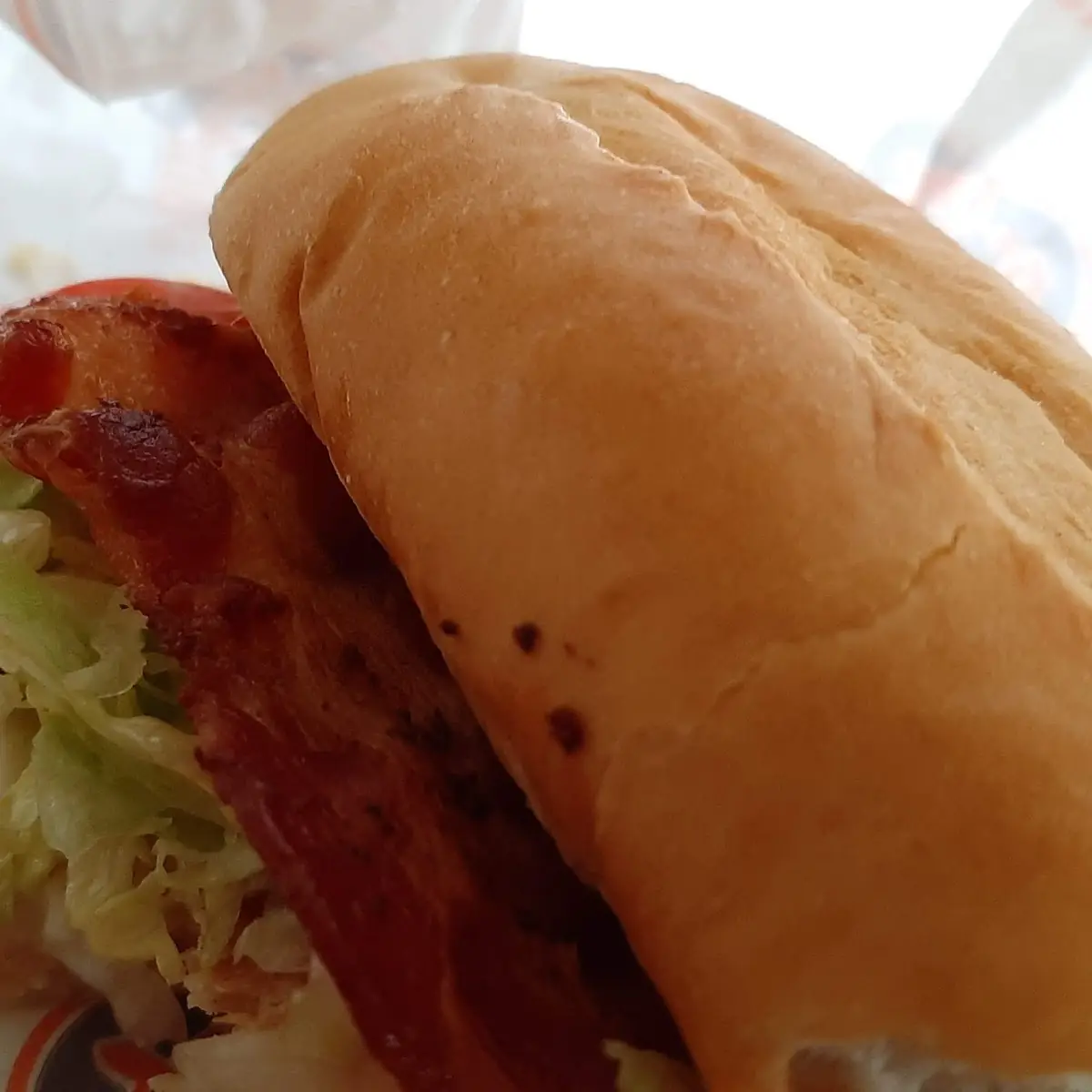 Meat Sandwich