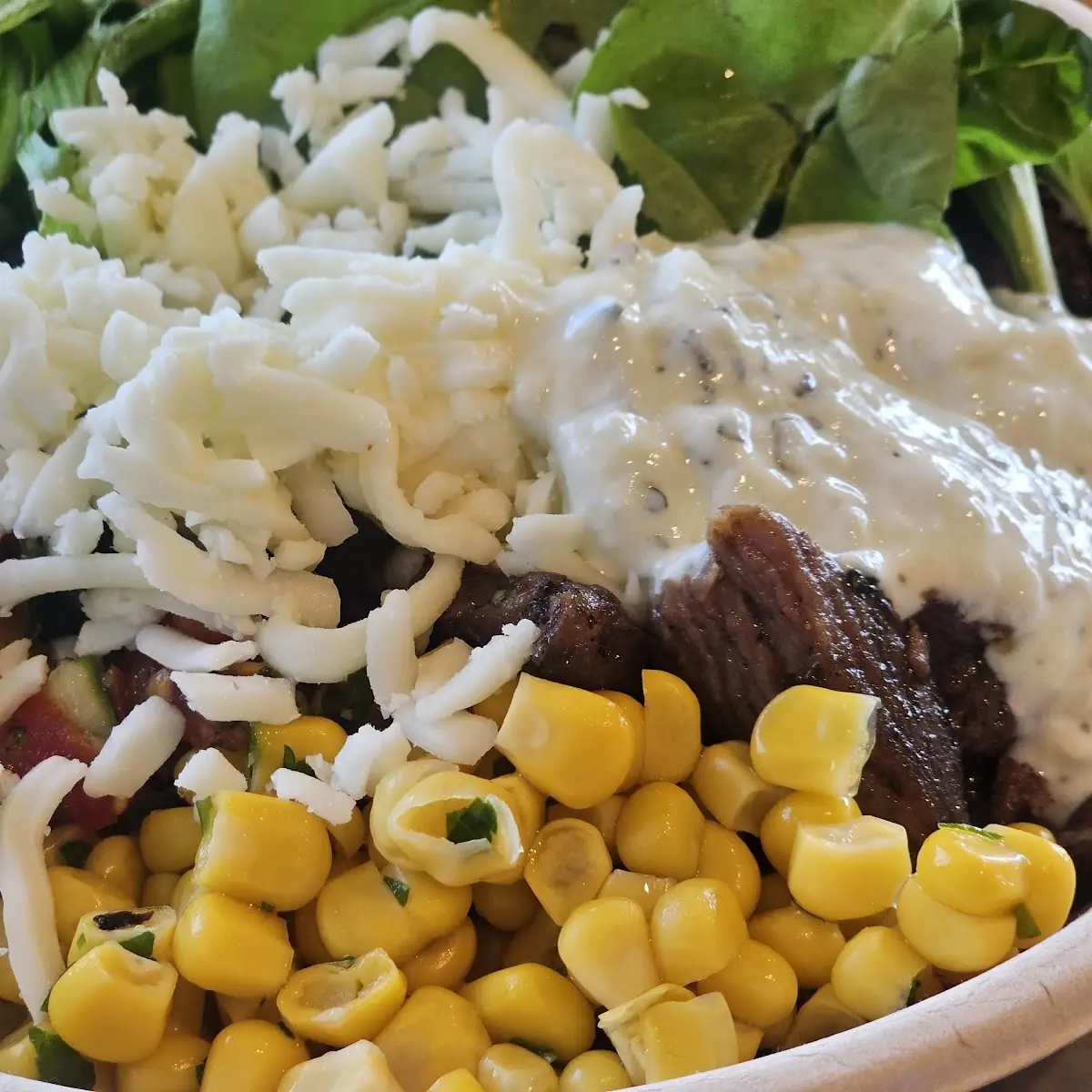 Burrito Bowl