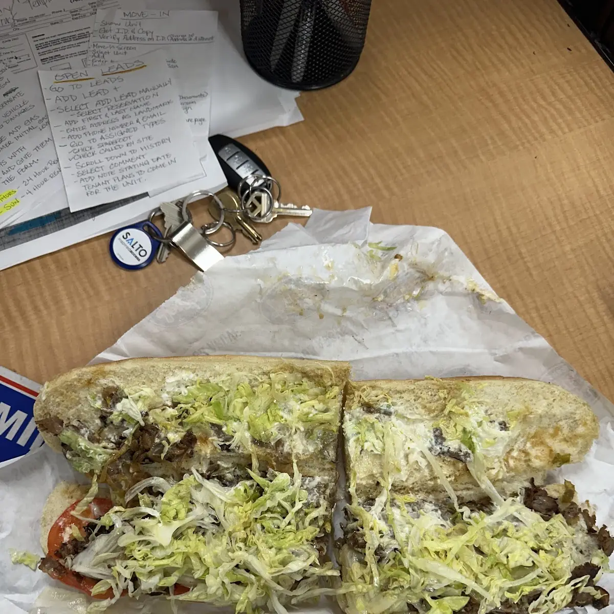 Steak and Cheese Sub