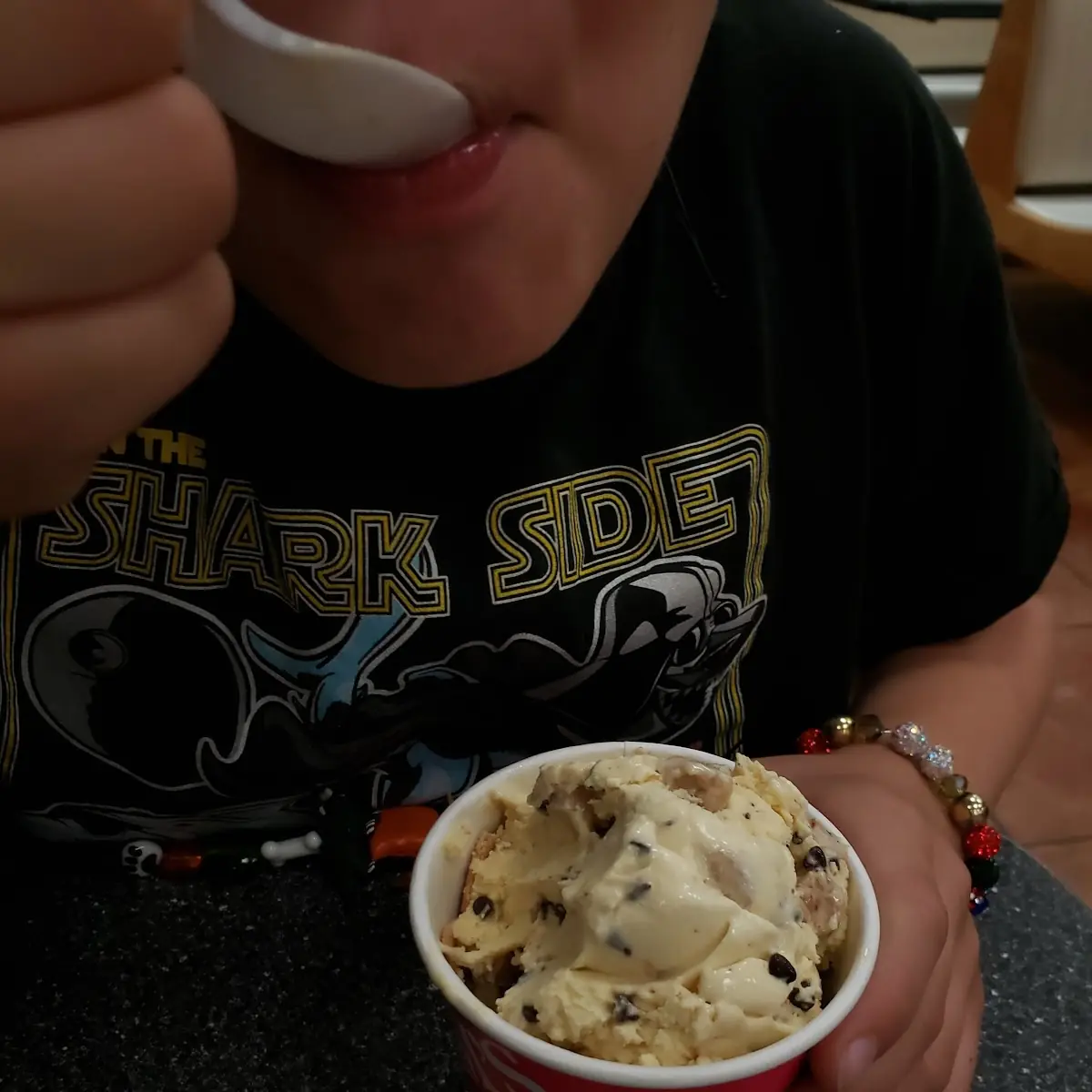 Two Scoops Mint Chocolate Chip