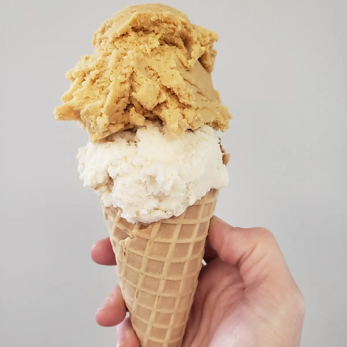 Pumpkin Pie Cinnamon Swirl Ice-Cream