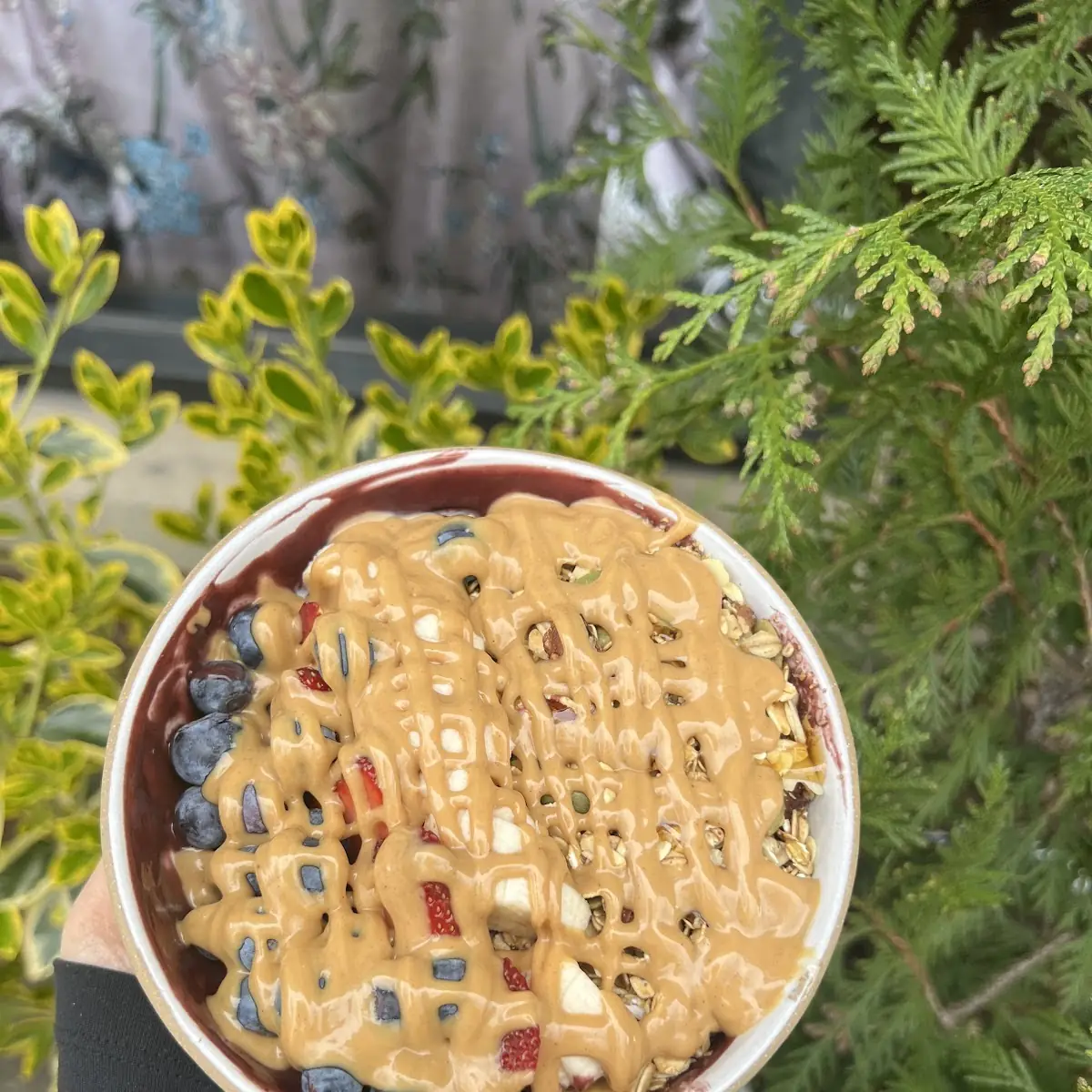 Açaí Bowl