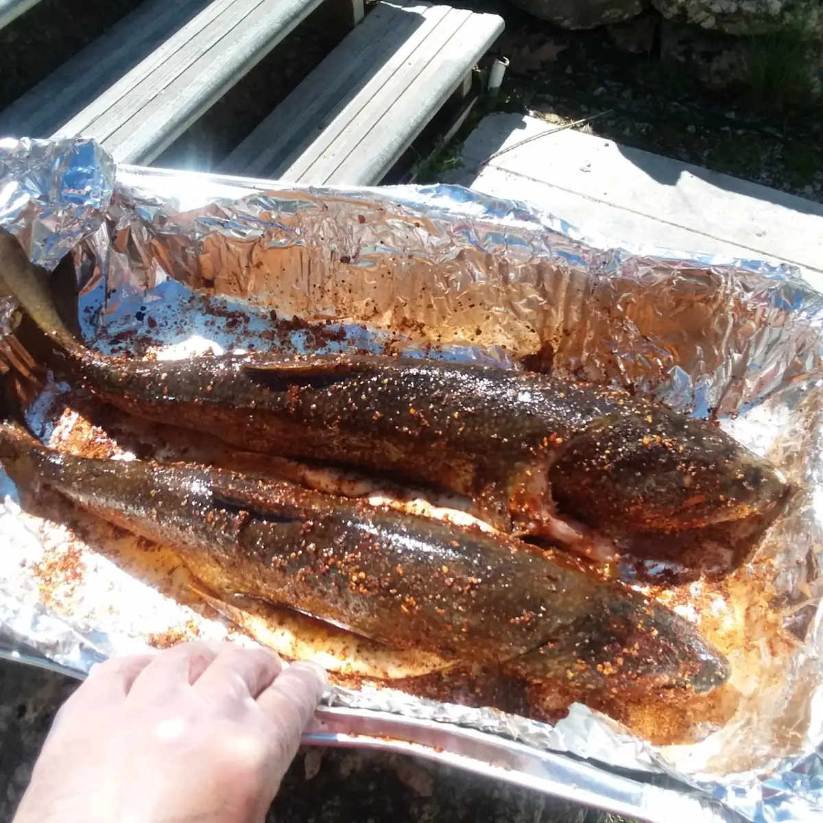 Smoked Salmon
